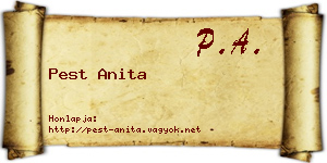 Pest Anita névjegykártya